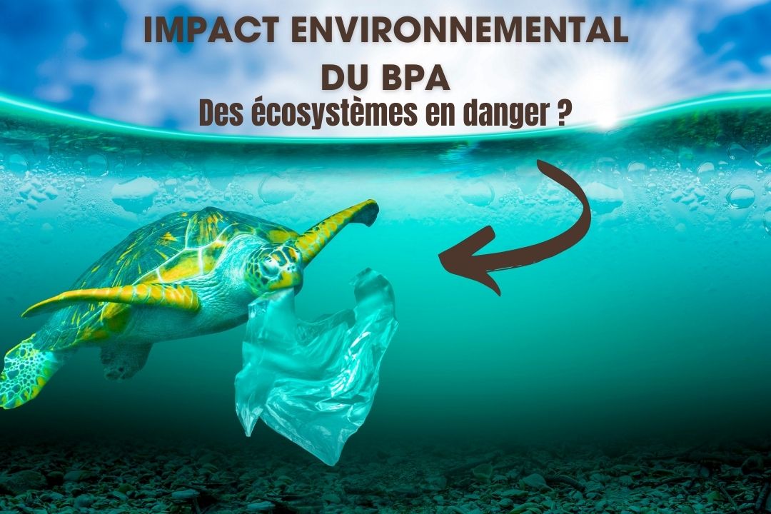 Impact environnemental du BPA : Des écosystèmes en danger ?