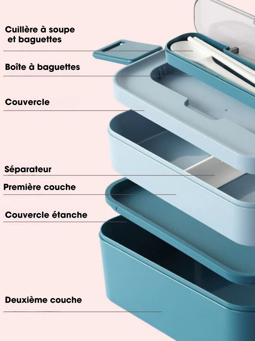 Bento Box Micro-Ondes